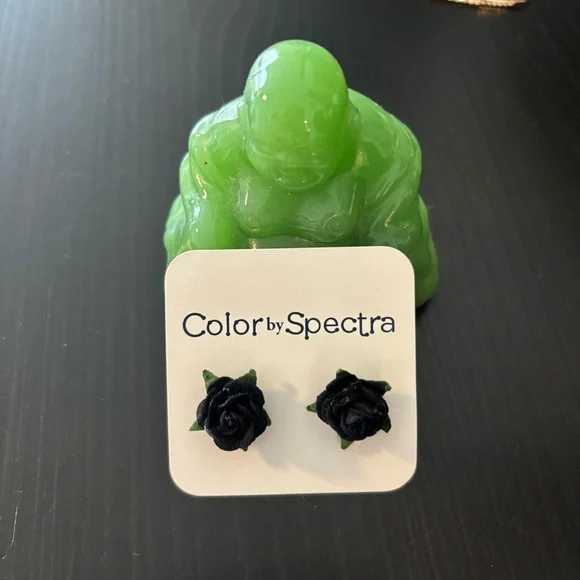 ๐ Color by Spectra Black Rose Earrings - Picture 1 of 2